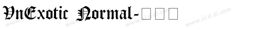 VnExotic Normal字体转换